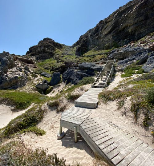 bernd-m-schell-K522J_AnJc0-unsplash