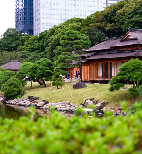 susann-schuster-ycn1KBh9UGE-unsplash